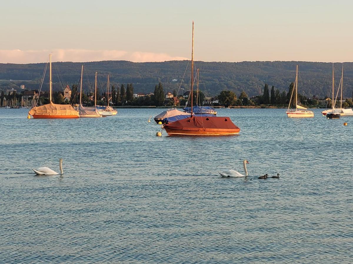 Charmante Waldrandidylle Hotel Kreuzlingen Kültér fotó